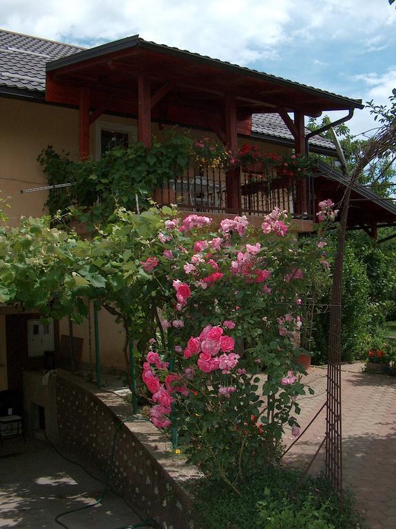 Apartments Ana Smoljanac Dış mekan fotoğraf